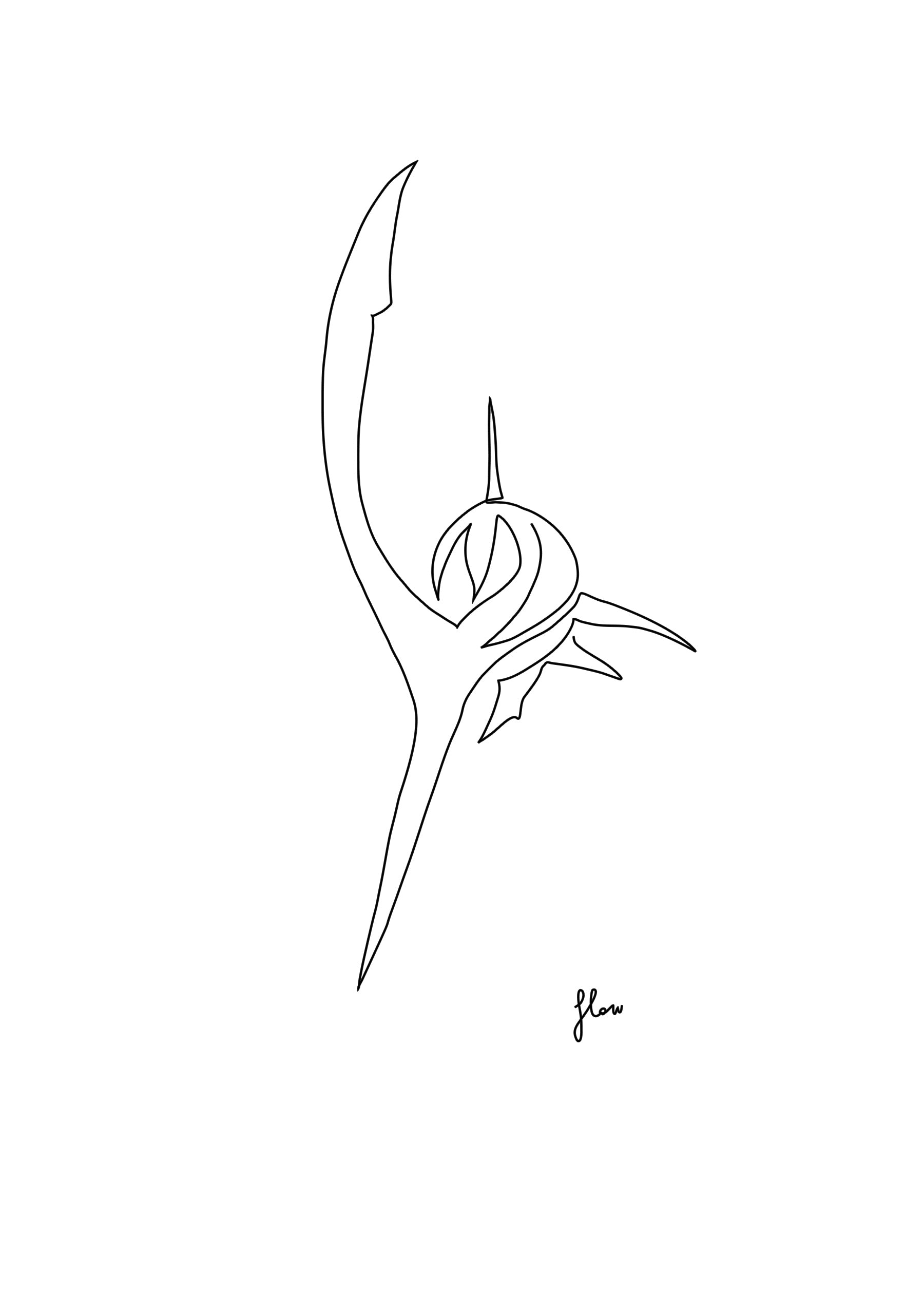 Shark: Line Art Artwork
