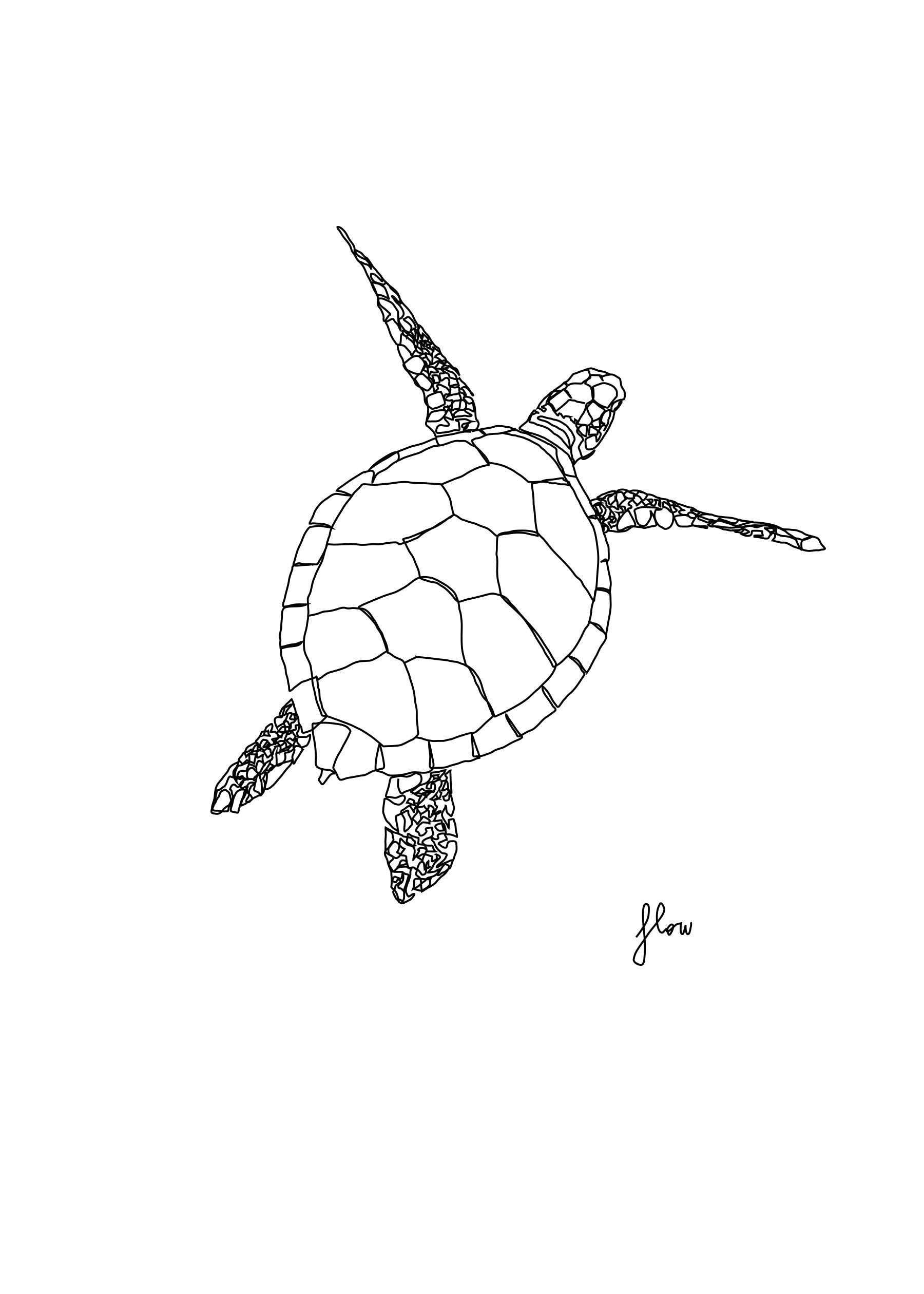 Turtle